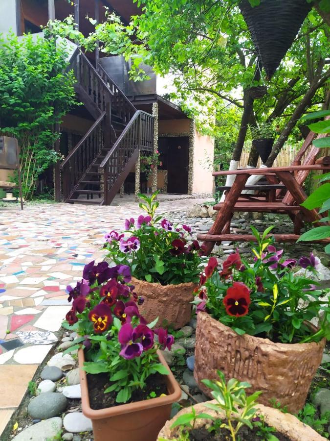 Guest House Lev Pizunda Luaran gambar
